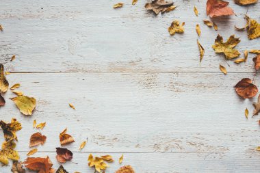 Sonbahar renklerinde, beyaz tahta üzerinde kuru yapraklardan yapılmış çerçeve. Yukarıdan bak. Düz yatıyordu. Boşluğu kopyala.