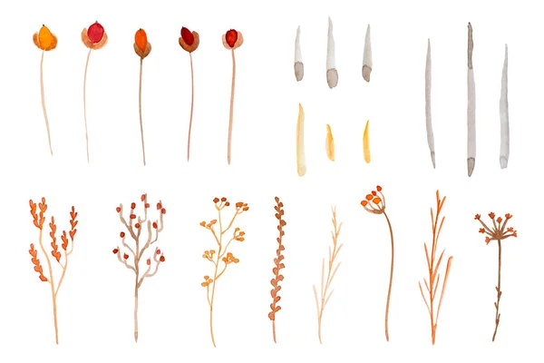 Gyűjteménye Akvarell Növények Őszi Színek Gallyak Levelek Fehér Alapon Tervező — Stock Fotó