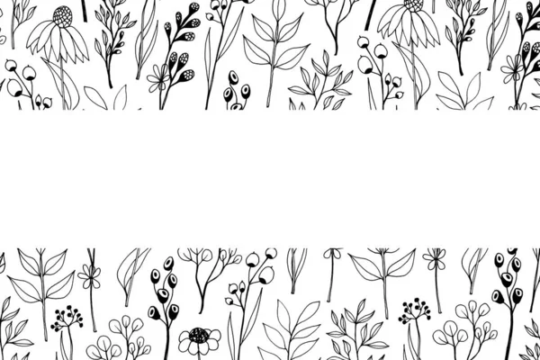 Keret Kézzel Rajzolt Növények Virágok Levelek Gallyak Fehér Alapon Fekete — Stock Fotó