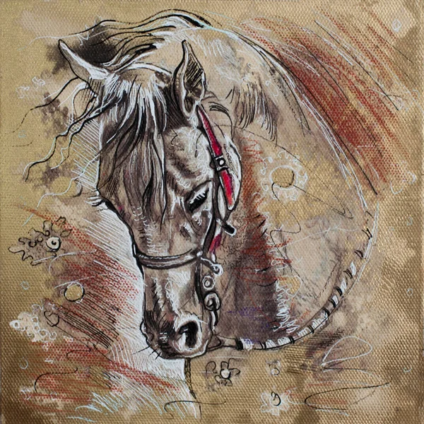 Kůň Hlava Portrét Zvíře Kreslení Původní Kresba Dřevěné Uhlí Akryl — Stock fotografie
