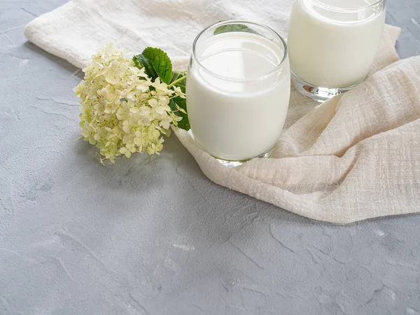 Two glasses of natural milk on a gray background. Copy space.