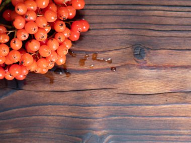 Koyu bir arka plan üzerinde kırmızı Rowan çilek Güzel demetleri.