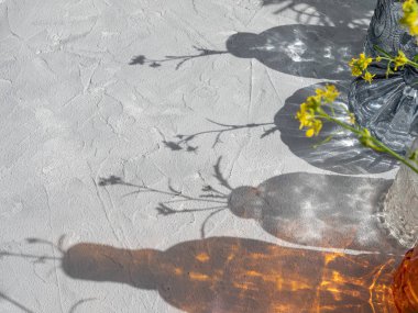 Sert ışıkta cam vazolardan güzel gölgeler.