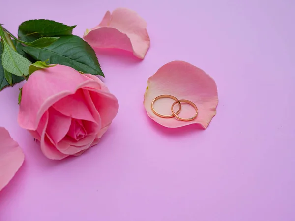 Wedding concept. Beautiful pink rose on pink background with two