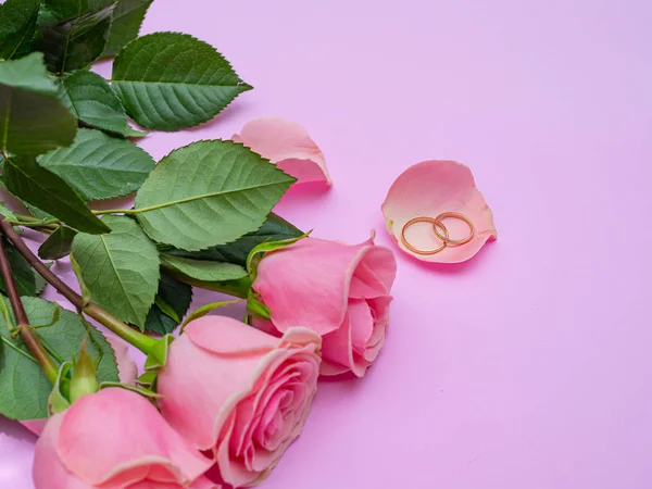 Concepto de boda. Hermosa rosa sobre fondo rosa con dos —  Fotos de Stock