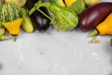 kabak, patlıcan açık gri bir arka plan, hasat yalan. Bu, 