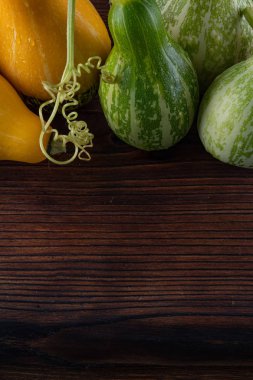 Güzel, parlak sebze-kabak sarı ve yeşil bir beau