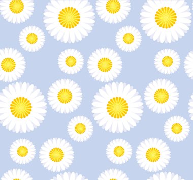 Papatya çiçek Dikişsiz desen arka planı için