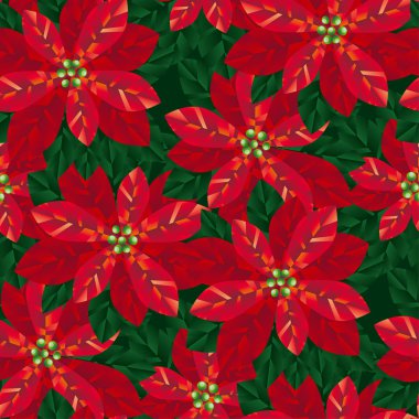 Xmas Atatürk çiçeği çiçek seamless modeli