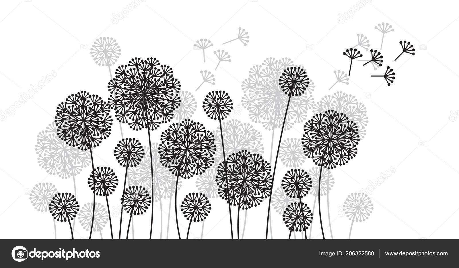 Dessin Abstrait Fleurs De Pissenlit Décoratif élégant