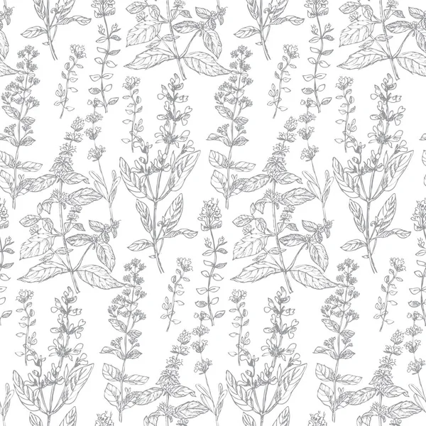 Hand drawn herbal sketch seamless pattern — Stock Vector