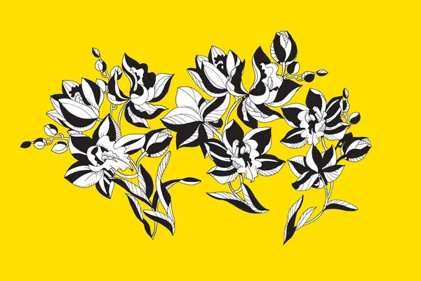 Elemento decorativo di disegno dei fiori del orchid . — Vettoriale Stock
