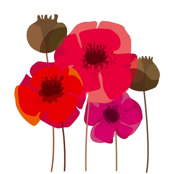 ケシの花と種子の箱のデザイン要素 — ストックベクタ
