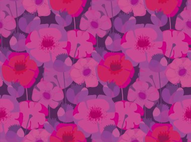 Pembe ve mor haşhaş çiçek çayır