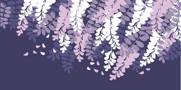 Våren acacia blossom färg vektorillustration — Stock vektor