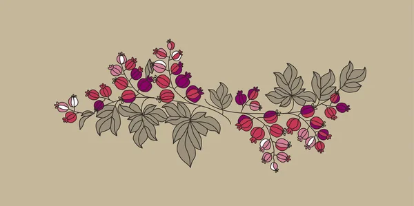 Смородинова гілка ягід Начерки Векторні ілюстрації — стоковий вектор