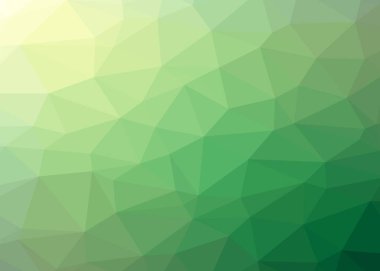 Rasgele Mesh arka düşük Poli