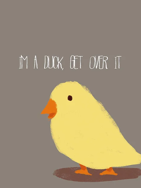 Sevimli hayvanlar ve hayvanlar