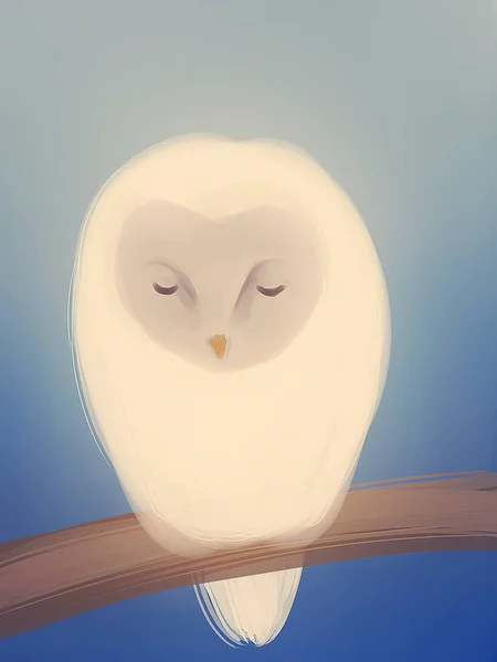 Sevimli hayvanlar ve hayvanlar