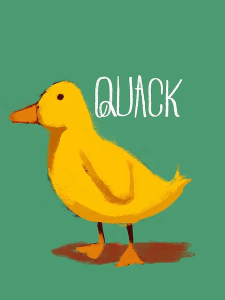 Sevimli hayvan ve hayvan çizim