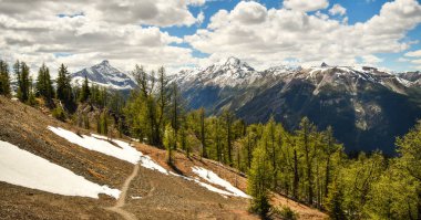 Mount Nelson ve Bruce Ridge Hiking Trail Purcell dağlar, British Columbia, Kanada