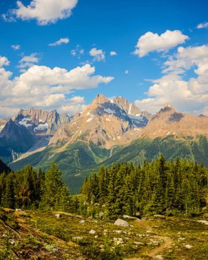 Jumbo Pass hiking trail, British Columbia, Kanada. Purcell dağlar manzara.