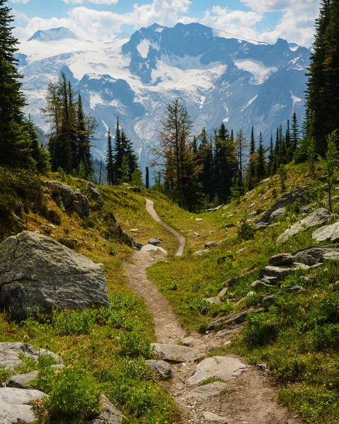 Jumbo Pass Sentiero Escursionistico Columbia Britannica Canada Purcell Montagne Paesaggio — Foto Stock