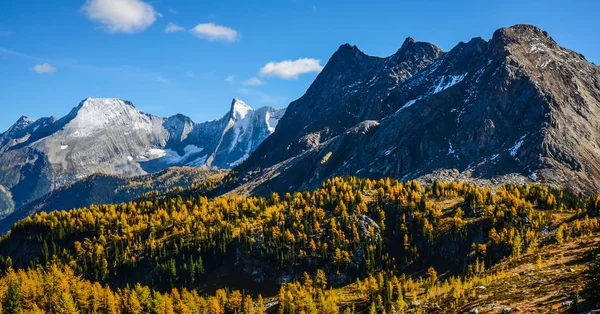 Jumbo Pass Britische Columbia Kanada Herbst Mit Goldener Lärche Purcell — Stockfoto