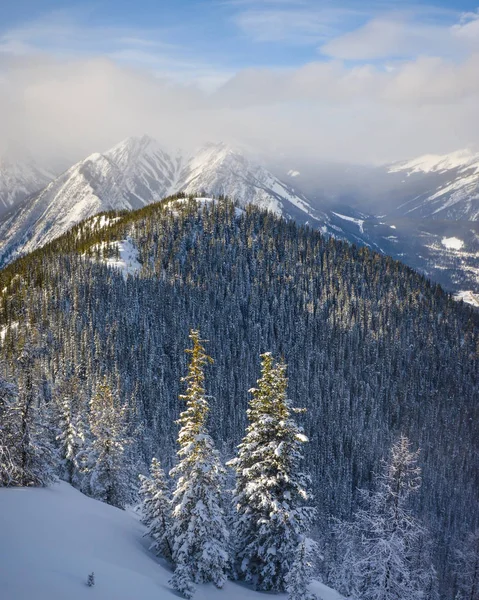 关于冬季加拿大艾伯塔省班夫国家公园硫磺山山顶的看法 — 图库照片