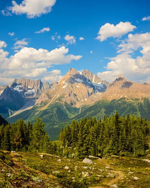 Jumbo Pass Wędrówki Szlakiem Kolumbia Brytyjska Kanada Krajobraz Góry Purcell Obraz Stockowy