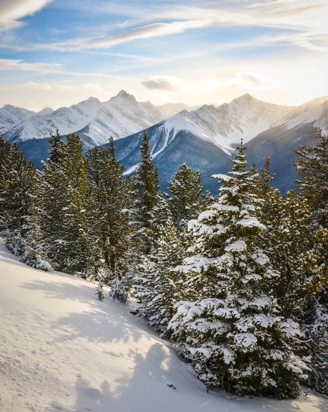 Śnieżna Zima Krajobraz Szczycie Góry Siarki Parku Narodowym Banff Kanada Obrazy Stockowe bez tantiem