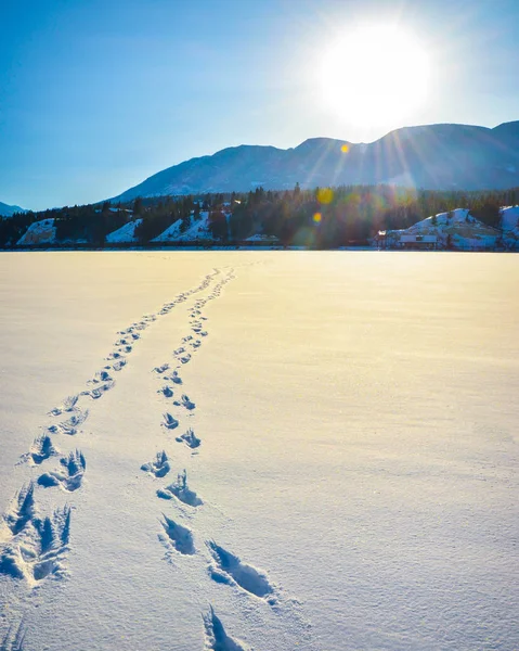 Imprime Neve Através Lago Congelado Com Chamas Sol Montanhas Cobertas Fotos De Bancos De Imagens