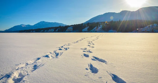 Imprime Neve Através Lago Congelado Com Chamas Sol Montanhas Cobertas Fotos De Bancos De Imagens