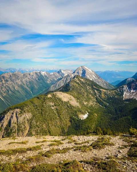 Vista Cume Montanha Primavera Montanhas Rochosas Canadenses Pedley Pass Colúmbia Fotos De Bancos De Imagens