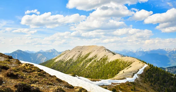 Гірський Краєвид Весни Вздовж Похід Pedley Перевалу Біля Invermere Британської Стокова Картинка