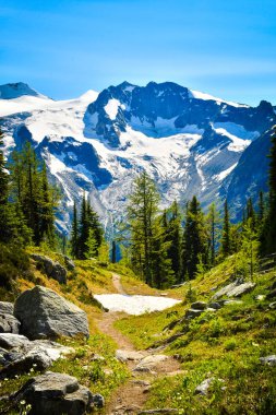 Jumbo Pass hiking trail, British Columbia, Kanada. Bir buzulun içinde belgili tanımlık geçmiş, Purcell dağlar yatay.