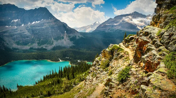 Caminhante Uma Borda Olhando Para Vale Montanha Lago Ohara Yoho Imagens De Bancos De Imagens