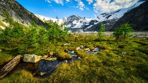 Mountain Meadow Lago Del Glaciar Colgante Las Montañas Purcell Columbia — Foto de Stock