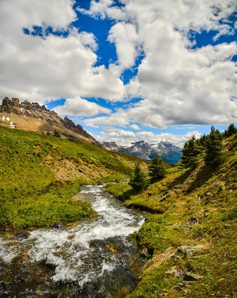 Helen Creek ve dolomit tepe Banff National Park, Alberta, Kanada