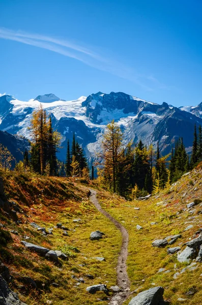 Wandelweg Jumbo Pass Herfst Met Een Gletsjer Achtergrond Diep Bergen — Stockfoto