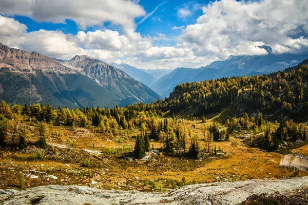 在秋天的金黄落叶松 巨型通行证在赛尔山脉 不列颠哥伦比亚省 加拿大 — 图库照片