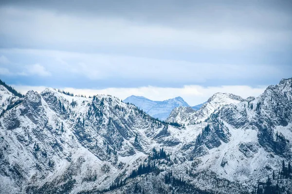 蜥蜴山脉的山顶 不列颠哥伦比亚省 加拿大 冬季主题 — 图库照片
