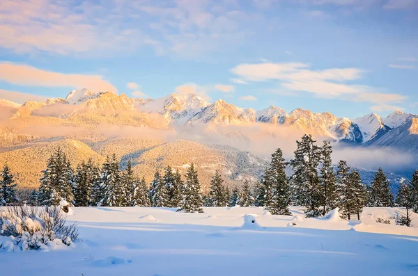 Fairmont sıradağlarının Fairmont Hot Springs, British Columbia, Kanada, kış.