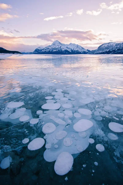 Methane Bubbles Congelato Abraham Lake Nella Contea Clearwater Vicino Nordegg Foto Stock