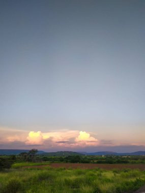 Öğleden sonra Cerrado 'da