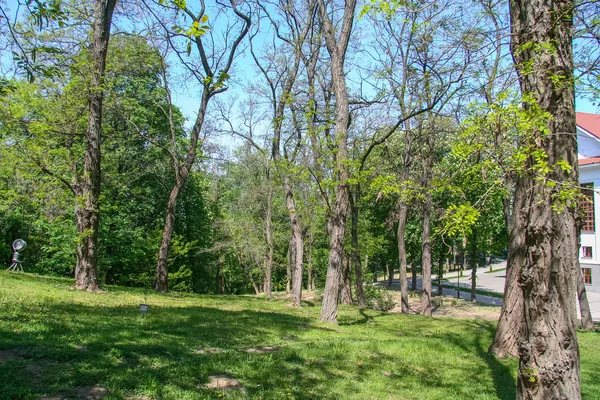 Bölge Anıtı - Ukraynalı şair Kanev siyah dağlarda Taras Şevçenko mezarı. Shevchenko Ulusal rezerv bir parçasıdır. Kanev City, Cherkasy Bölgesi, Ukrayna. Mayıs 2011