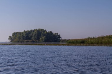 Kushugum köyü yakınındaki floodplains Dinyeper Nehri. Zaporozhye region, Ukrayna. Eylül 2018