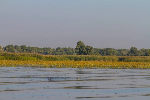 Kushugum köyü yakınındaki floodplains Dinyeper Nehri. Zaporozhye region, Ukrayna. Eylül 2018