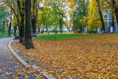 Mariinsky Park (önceki adı: Palace, Aleksandrovsky, devrim, Sovyetler kurbanları)-Kiev, bir parkta bulunan binanın Yüksek Konseyi ve Mikhail Hrushevsky Caddesi ve Parkw için yamaç arasında Mariinsky Sarayı karşısında