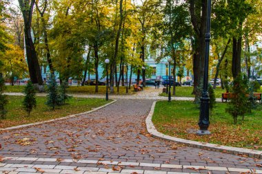 Mariinsky Park (önceki adı: Palace, Aleksandrovsky, devrim, Sovyetler kurbanları)-Kiev, bir parkta bulunan binanın Yüksek Konseyi ve Mikhail Hrushevsky Caddesi ve Parkw için yamaç arasında Mariinsky Sarayı karşısında